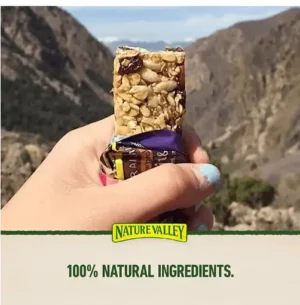 Fornaxmall.com: Nature Valley Fruit & Nut Chewy Trail Mix Granola Bars (48 ct.)